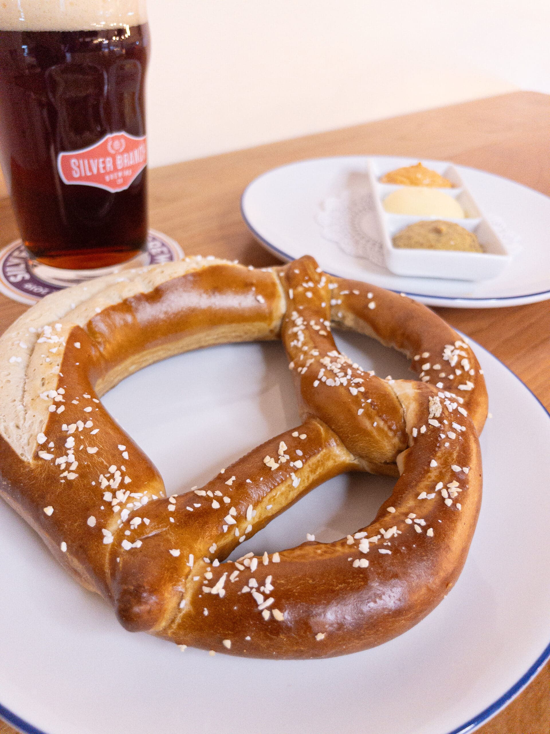 Bavarian Pretzel